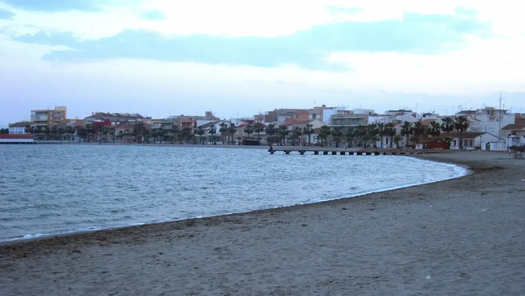 Control de plagas en Los Alcázares