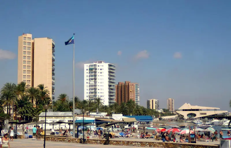 control de plagas en San Javier