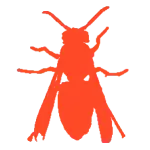avispa icono