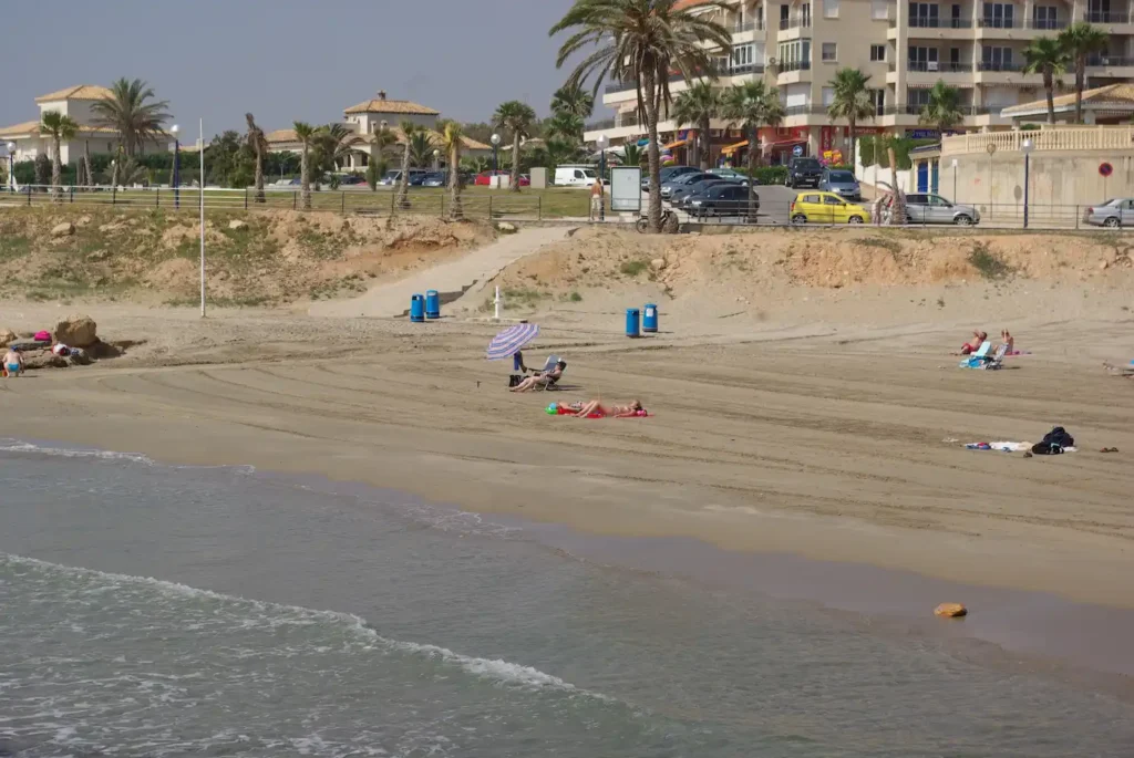 control de plagas en orihuela costa