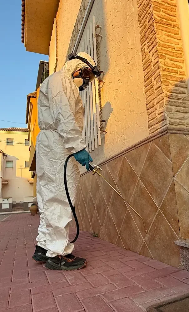 Control de plagas en Cartagena y alrededores