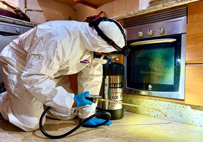 servicio de desinsectación