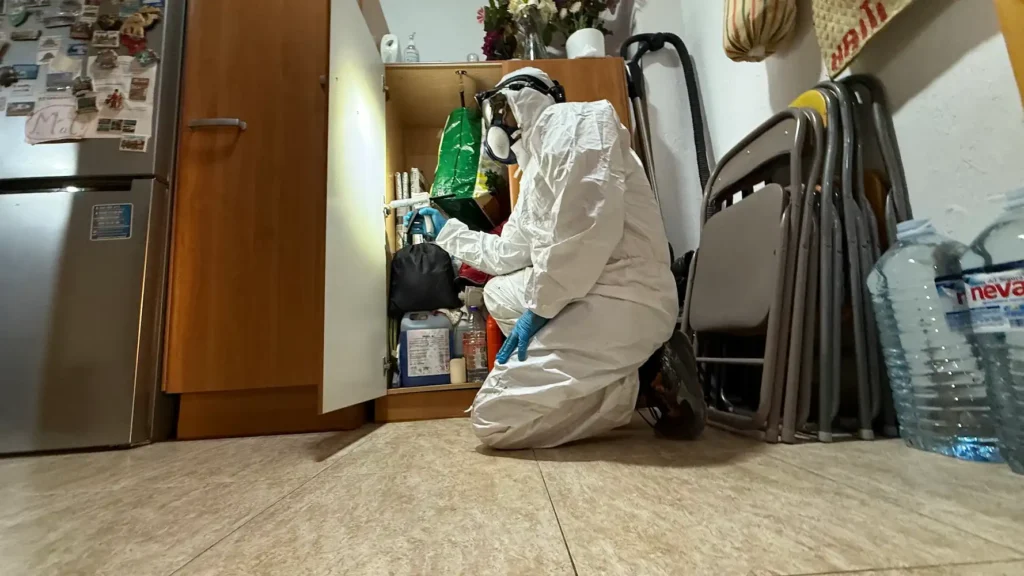 servicio de desratización