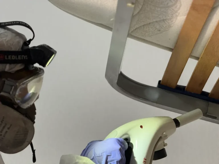 desinsectacion en dormitorios