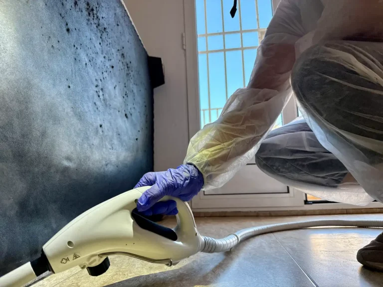 desinsectacion en murcia y alrededores