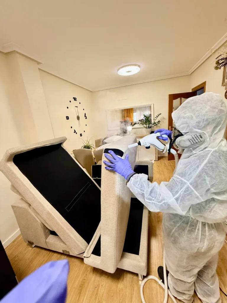 Limpieza de sofá eliminando chinches