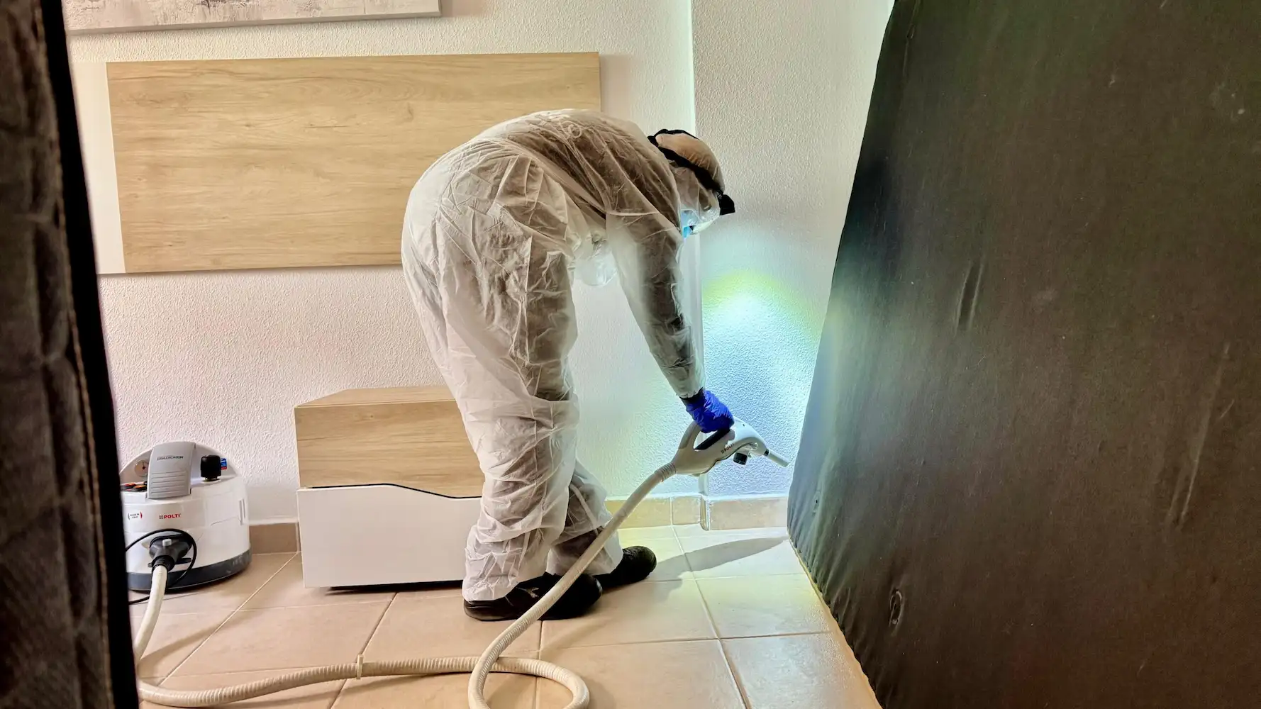 chinches de cama en san pedro y murcia