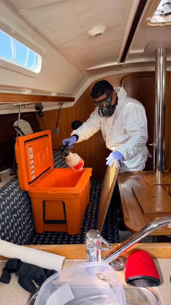 control de plagas en velero