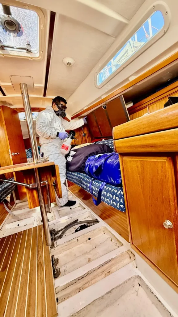 control de plagas en velero de mazarrón