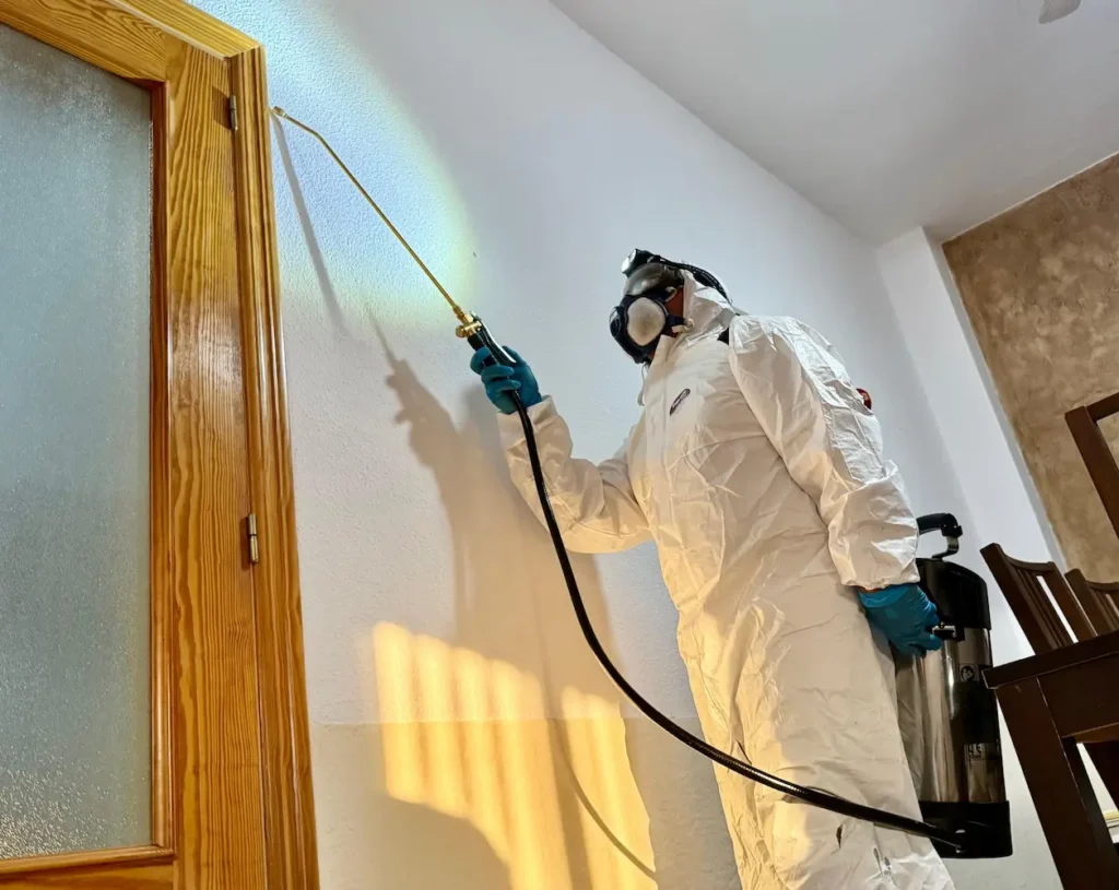 control de plagas discreto