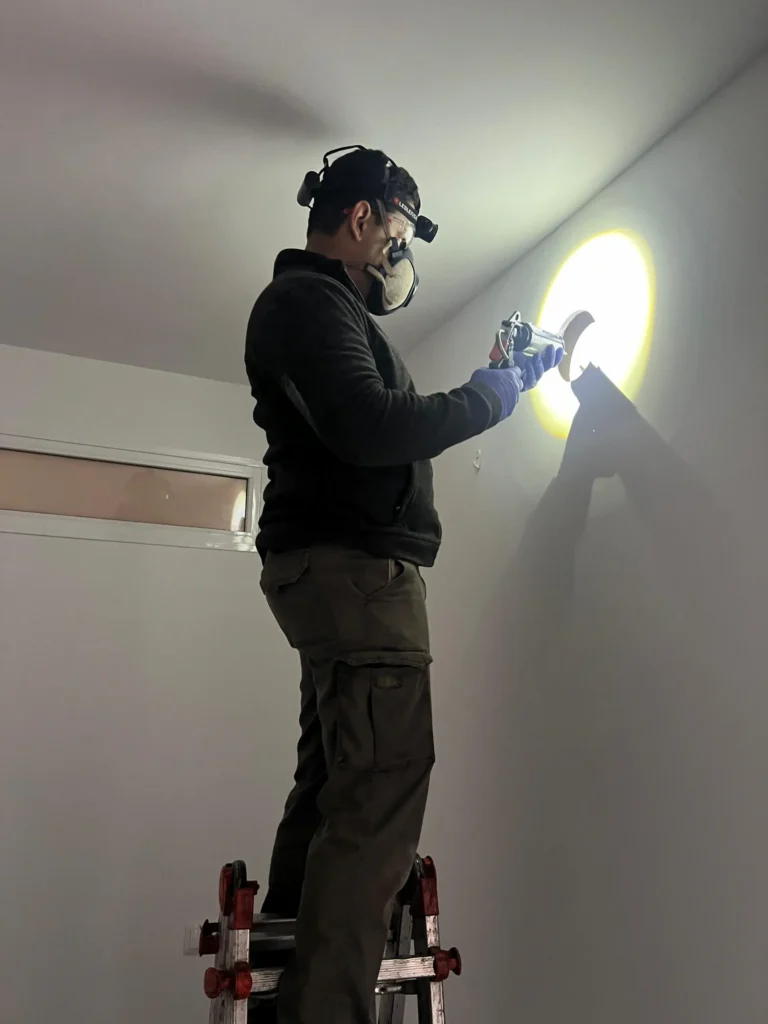 cucarachas en Murcia