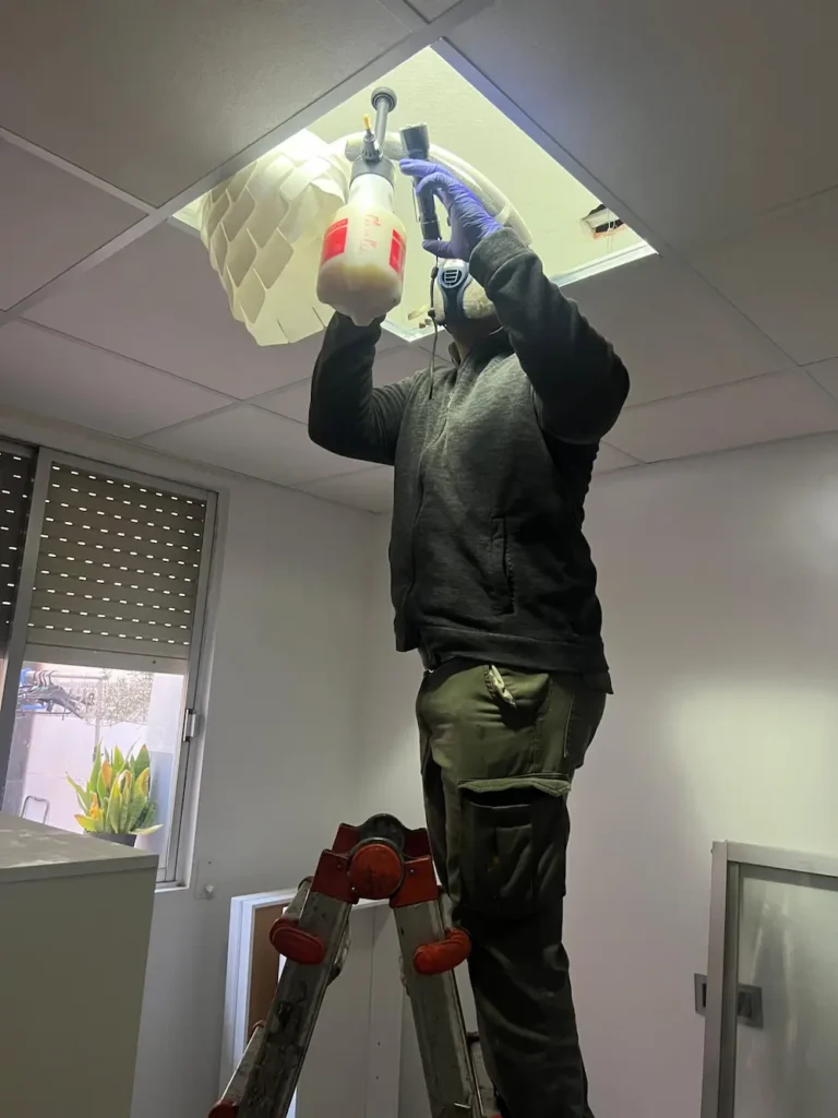 eliminar cucarachas en paredes