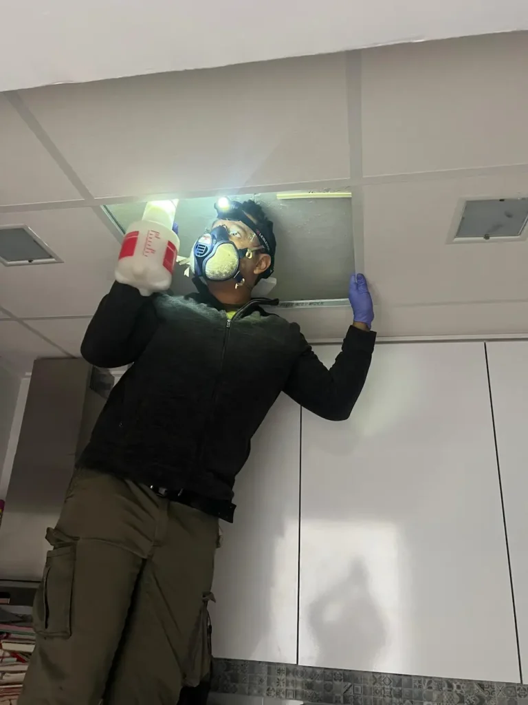 Aplicación contra cucarachas en falso techo de una vivienda en Murcia