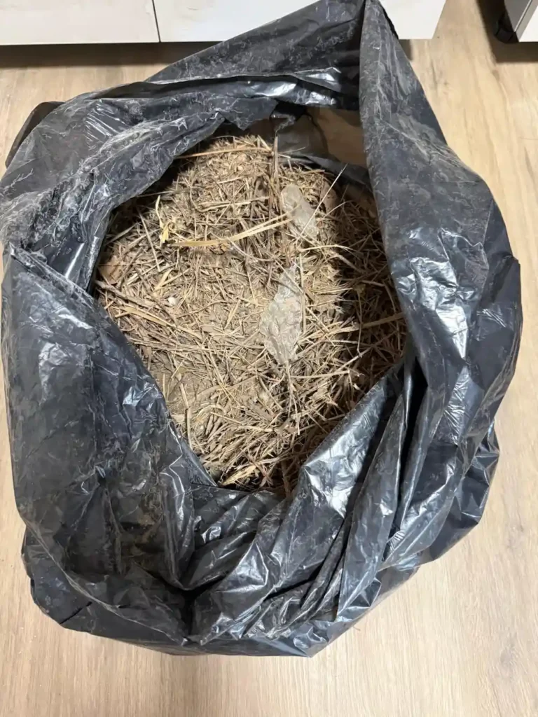 Bolsa de basura llena de nidos