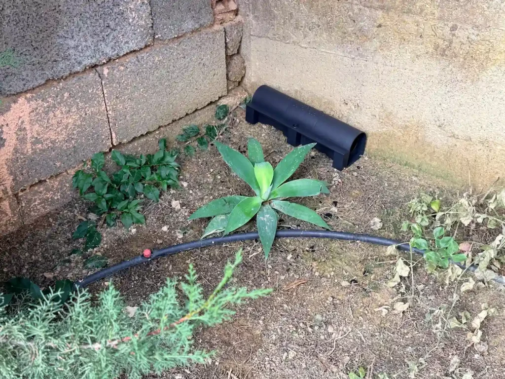 Estación de cebo con rodenticida en una esquina de la propiedad