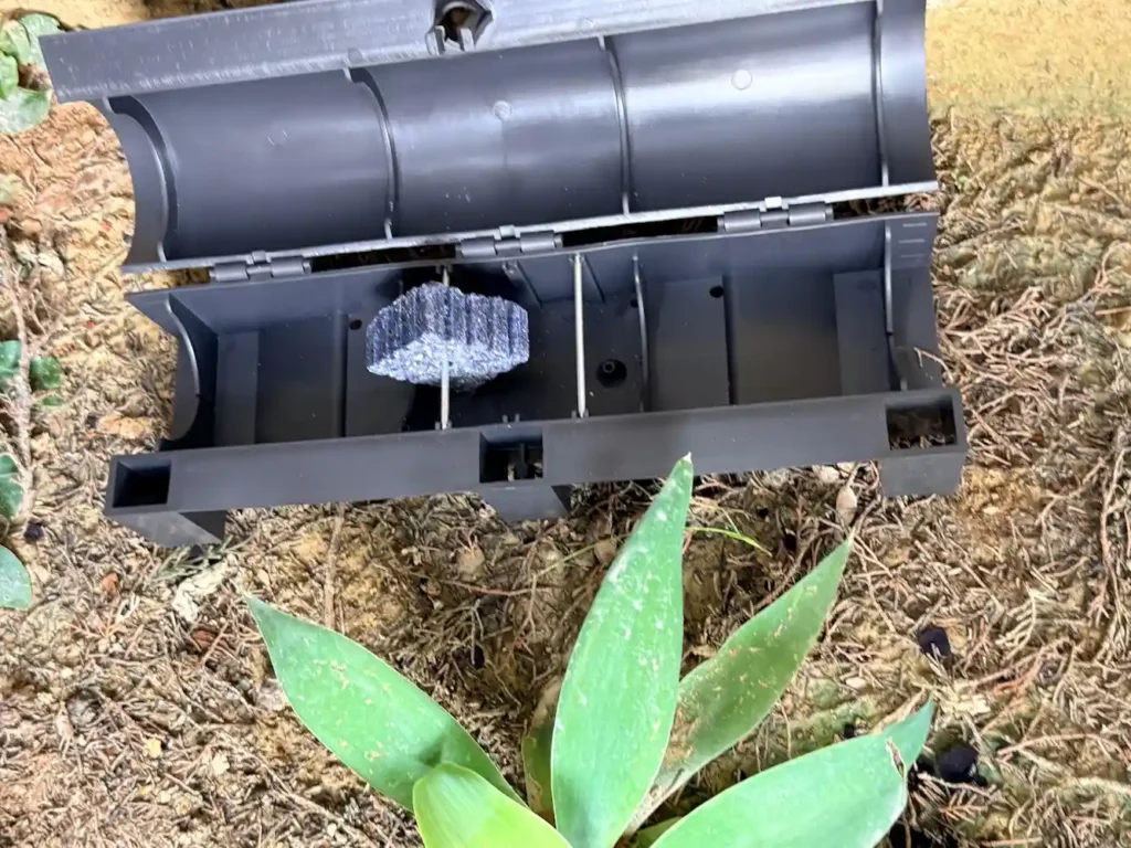 Portacebos de seguridad para desratización en jardín de chalet en La Vaguada Cartagena