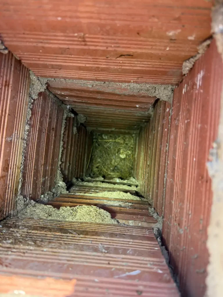 Shunt de ventilación obstruido por nido de aves