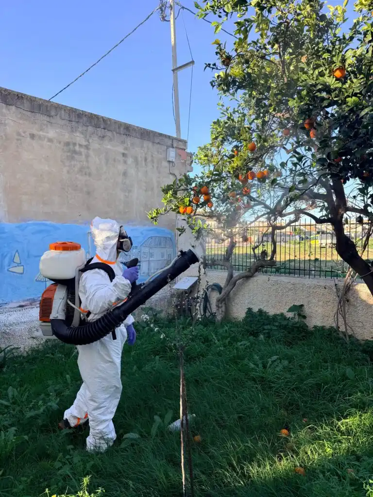 Tratamiento de cítricos en San Javier