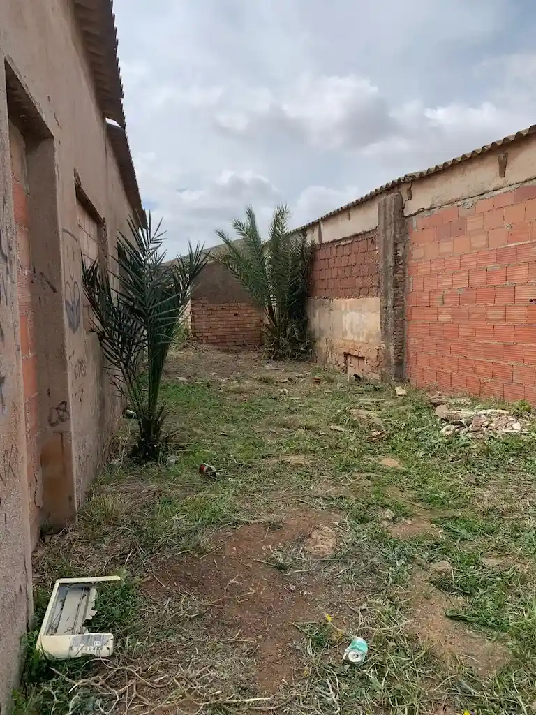 Después del desbroce