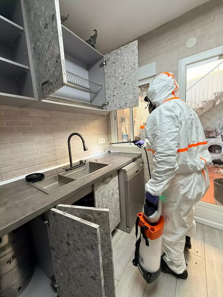 Técnico de control de plagas en Cartagena