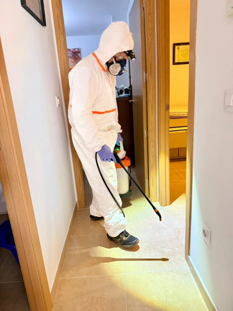 Eliminación de pulgas en Murcia