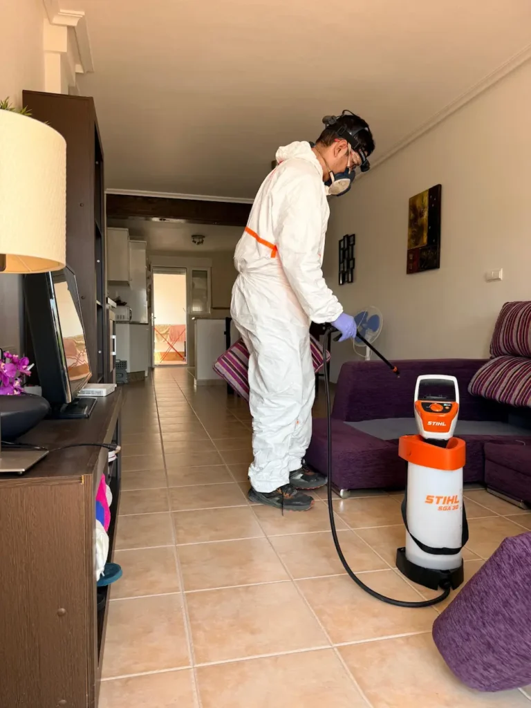 desinfección de ratas en Orihuela costa