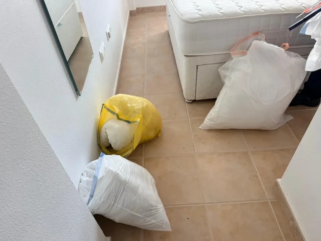 eliminar ratas en Orihuela costa